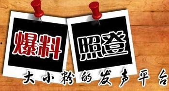 图片新闻爆料,揭秘XX事件背后的惊人真相 第1张 图片新闻爆料,揭秘XX事件背后的惊人真相 第1张