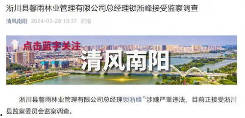 河南南阳市最新爆料,揭秘南阳市最新动态与热点事件  第3张 河南南阳市最新爆料,揭秘南阳市最新动态与热点事件  第3张