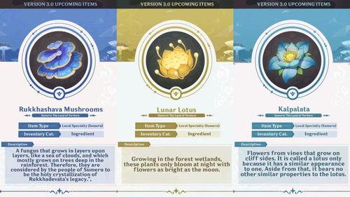 草神爆料视频,神秘力量觉醒,奇幻世界即将展开  第2张 草神爆料视频,神秘力量觉醒,奇幻世界即将展开  第2张