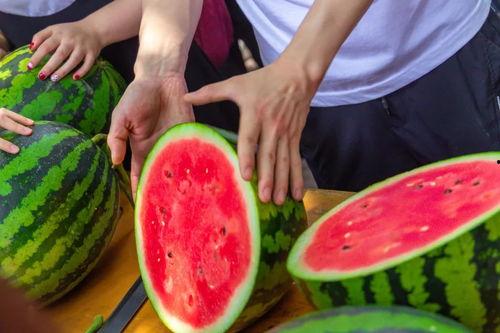 莱州今日吃瓜爆料,揭秘当地热点事件背后的真相  第2张 莱州今日吃瓜爆料,揭秘当地热点事件背后的真相  第2张