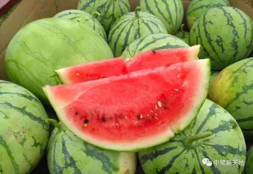 莱州今日吃瓜爆料,揭秘当地热点事件背后的真相  第3张 莱州今日吃瓜爆料,揭秘当地热点事件背后的真相  第3张