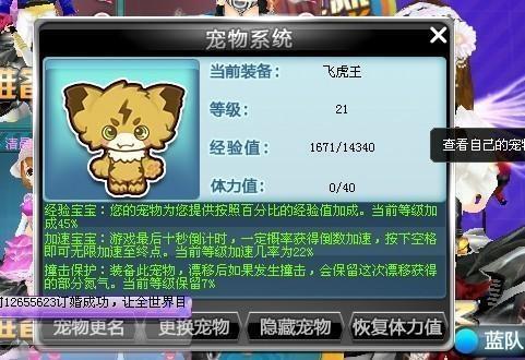 qq飞车新宠物爆料最新,神秘宠物降临!QQ飞车新宠物爆料抢先看  第2张 qq飞车新宠物爆料最新,神秘宠物降临!QQ飞车新宠物爆料抢先看  第2张