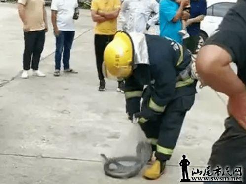 公平镇最新爆料,揭秘神秘事件背后的真相  第2张 公平镇最新爆料,揭秘神秘事件背后的真相  第2张