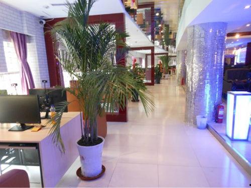 石家庄网吧最新爆料,揭秘最新爆料背后的行业变革  第2张 石家庄网吧最新爆料,揭秘最新爆料背后的行业变革  第2张