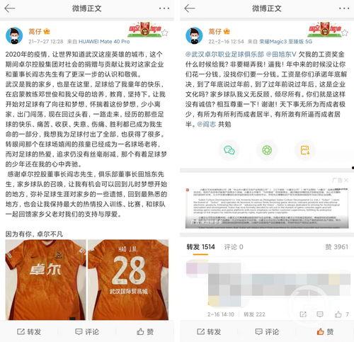 讨薪新闻爆料网站下载,揭示劳动者权益维护现状  第3张 讨薪新闻爆料网站下载,揭示劳动者权益维护现状  第3张