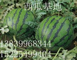 潍坊新瓜最新爆料,揭秘背后惊人真相  第2张 潍坊新瓜最新爆料,揭秘背后惊人真相  第2张