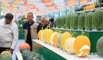 潍坊新瓜最新爆料,揭秘背后惊人真相  第3张 潍坊新瓜最新爆料,揭秘背后惊人真相  第3张