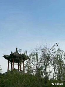 赵县爆料最新,揭秘当地最新热点事件!  第3张 赵县爆料最新,揭秘当地最新热点事件!  第3张