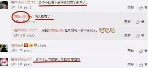 卓伟爆料明星回归视频,明星神秘回归,幕后故事大揭秘!  第3张 卓伟爆料明星回归视频,明星神秘回归,幕后故事大揭秘!  第3张