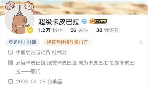 爆料四姐视频下载网站最新  第2张 爆料四姐视频下载网站最新  第2张